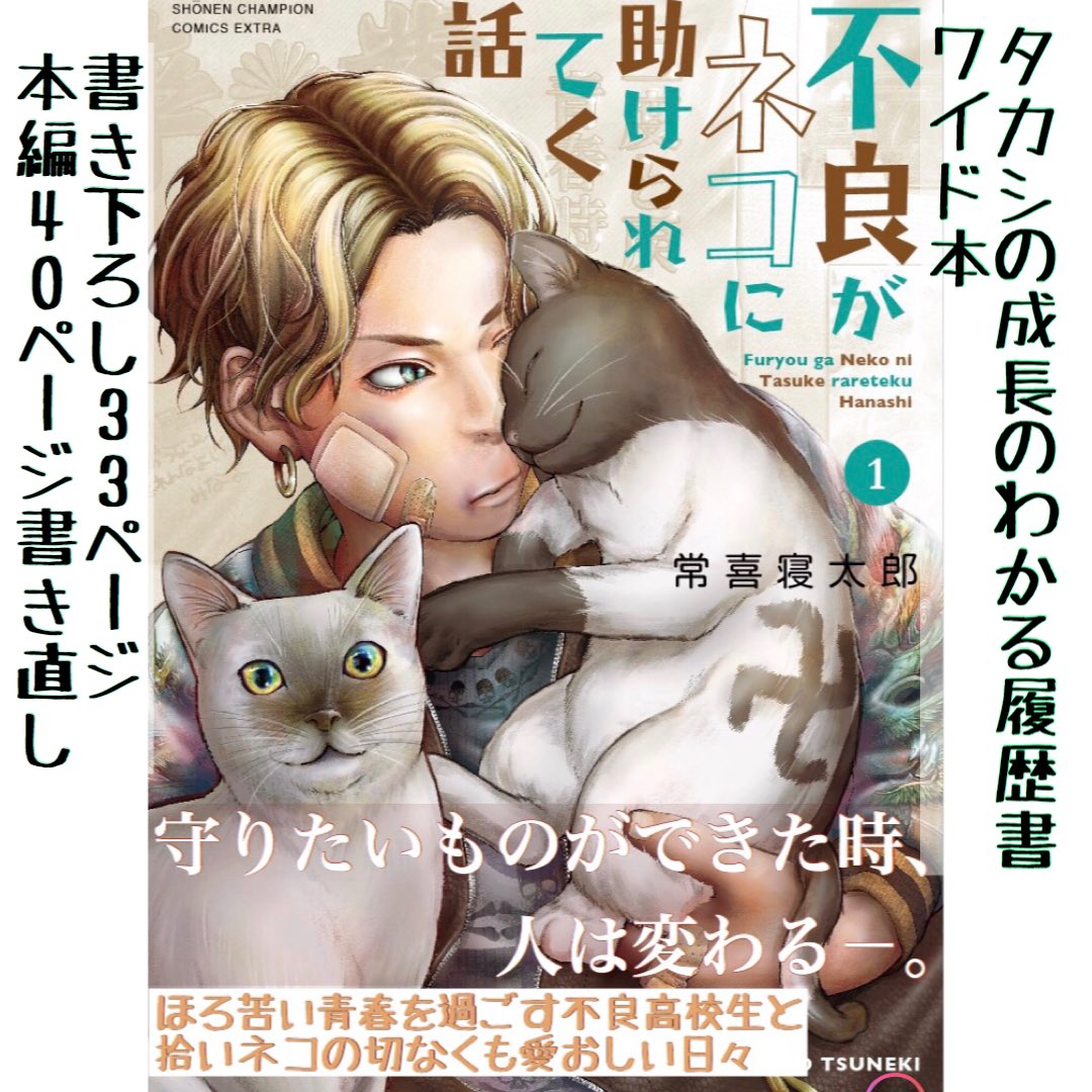 「不良がネコに助けられてく話」34話② 