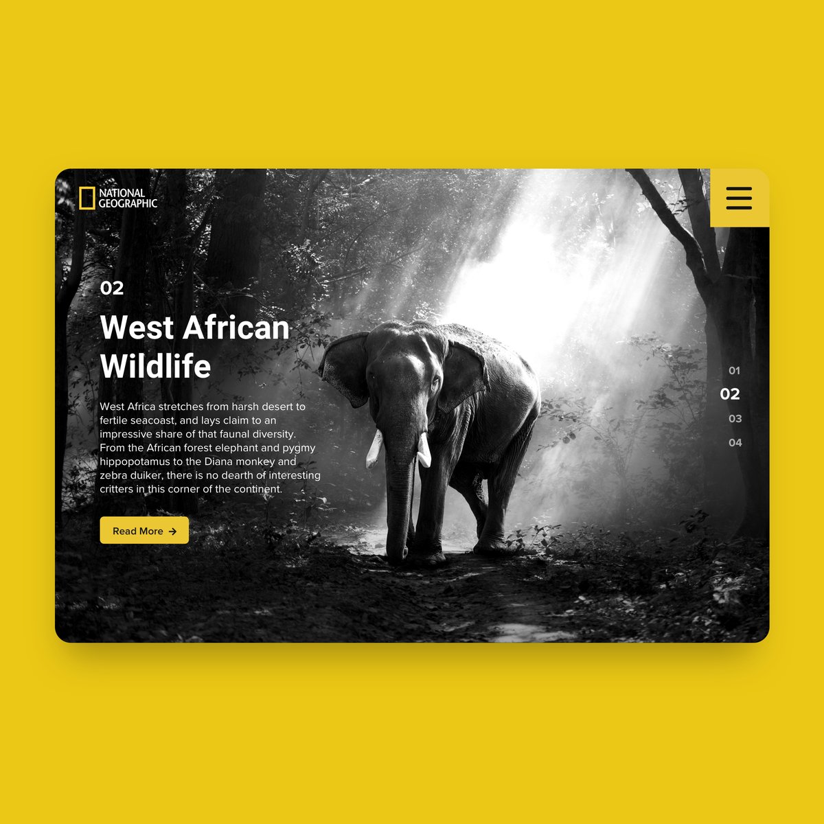 defijn_'s tweet image. National Geographic, an exploration into a fully immersive native tablet application 🐘🌳⁠
⁠
This UI concept explores web design flexibility which enables the user to comfortably immerse themselves in the African wildlife experience no matter their preferred device.

#tabletapp