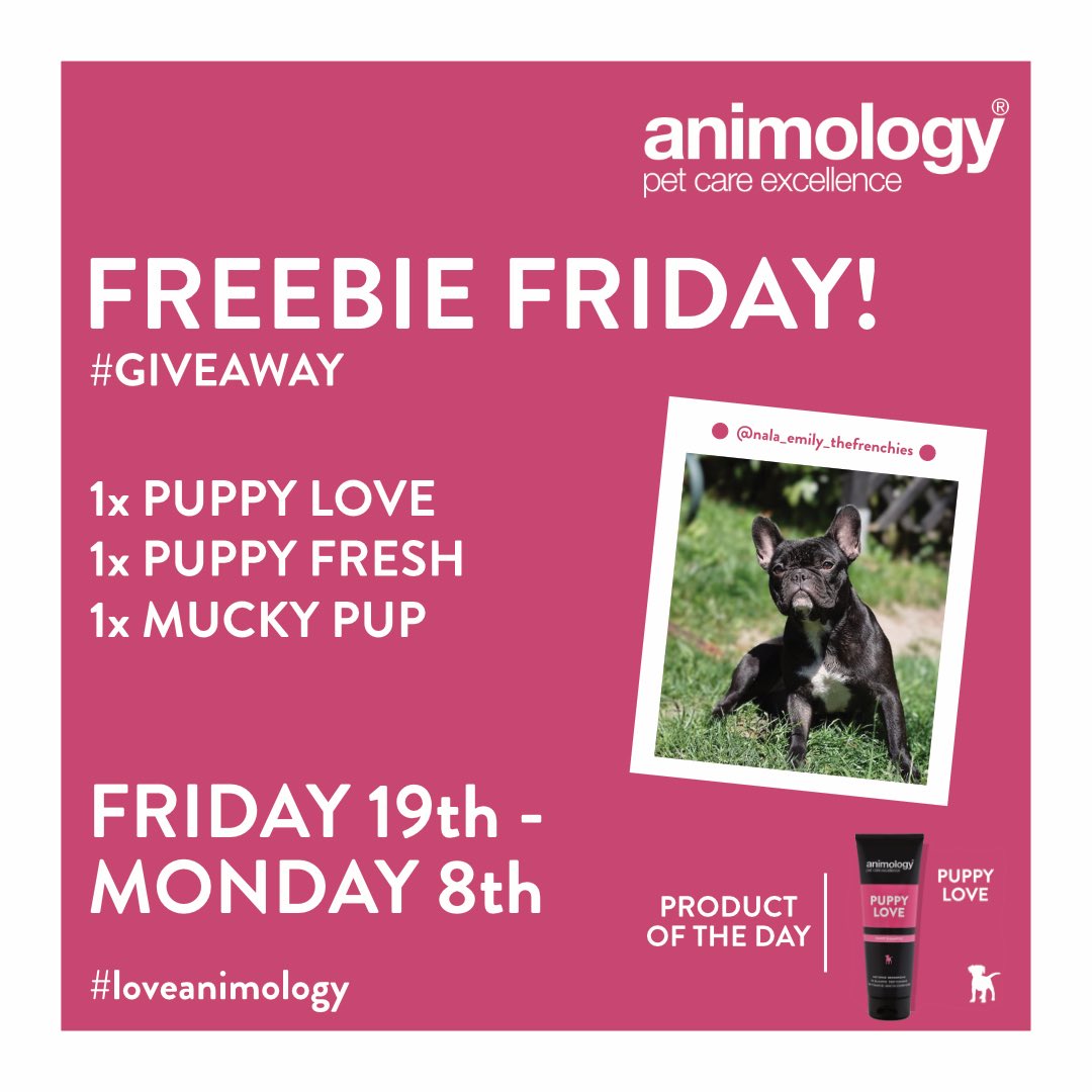 animology's tweet image. Freebie Friday is back! This week be in the chance of winning a puppy pack.
- 1x Puppy Love
- 1x Puppy Fresh
- 1x Mucky Pup
-
How to enter in 4 simple steps:
* Like
* Follow
* Share 
* Tell us why you should win
Good luck 🐶🏆
-
#loveanimology #animology #giveaways #free