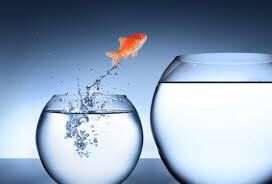 Amauche03's tweet photo. “DON’T WASTE A CRISIS”. How can we not waste C19? “Never waste crisis” not only the BLACK SWAN type but any crisis, we must take advantage of every opportunity &amp; learning it offers to thrive &amp; emerge.
Our INTERPRETATION &amp; RESPONSE is the difference!
#Live
#Love &amp; 
#LeaveaLegacy https://t.co/ePzmepyj5K