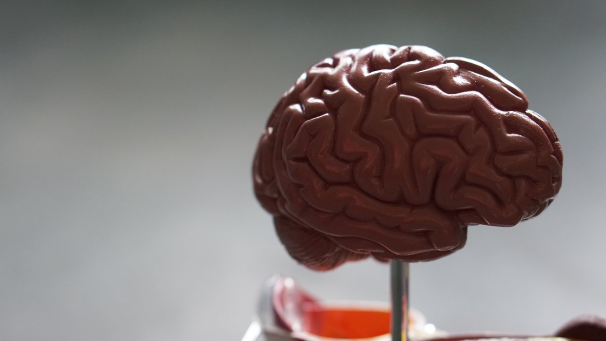 DDWJournal's tweet photo. The Lancet Neurology publishes positive results of AFFiRiS Phase 1 trial with PD01A in PD patients
https://t.co/PpDu96NoJY
#TheLancetNeurology #AFFiRiS #Immunotherapy #Biotechnology #Pharmaceutical #ClinicalTrials #DrugDiscovery #DrugDevelopment #DDW #DrugDiscoveryWorld https://t.co/UzXPJx13RU