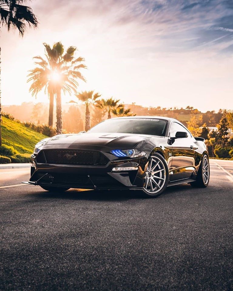 Arcomovil Ford tweet media