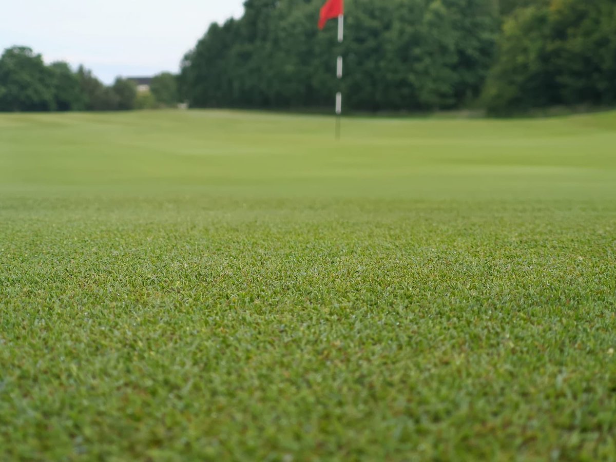 Really happy how the greens are looking. Application of  @SymbioUK  Incision sprayed last week followed by application of Mycogro 5-0-10 +2%Mg. Liquid aeration, trace elements, Biotabs, Cms shoot 5-0-2, Liquid seaweed and Compost tea applied this week. #bringlifetothesoil⛳️