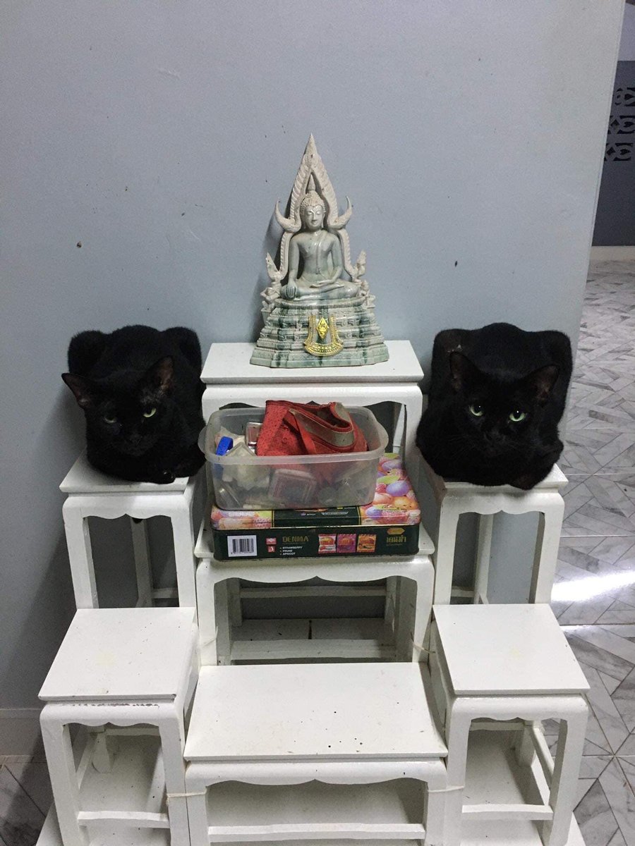 เจ้าหงิญ tweet media