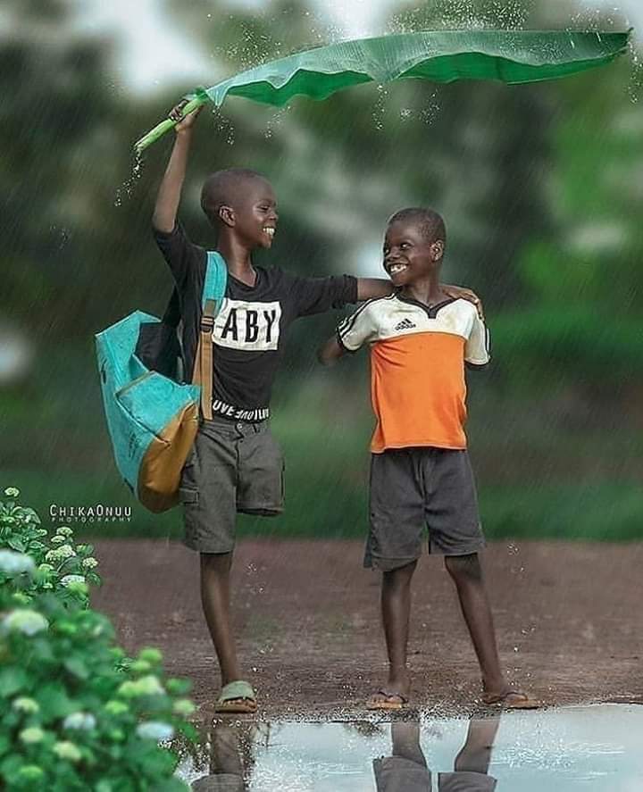 كم من لايك تستحق