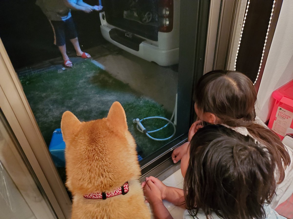 ট ইট র 犬と子供 হ য শট য গ ট ইট র 犬と子供 হ য শট য গ