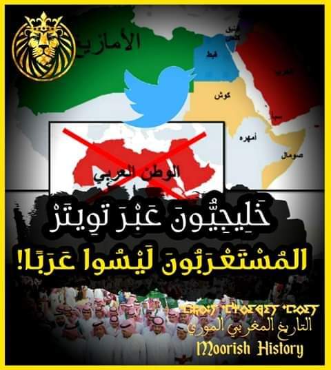 #المستعربن ليسوعرب لا تؤاخذهم بما يقولون قطيع الغنم فهم أصلا جهلاء ولا يعرفون حتى عن تاريخ اوطانهم 
 معرفتنا بتاريخهم معروف  بدماء  الملوث بعضهم  البعض ومازلو حتى الان  وغابت  عنهم الكثير  
شمال افرقيا معروف بجذوره  العميق  و المؤرخون العالم تحدثوا عنه ونحن مفخرون له و كل أمازيغي