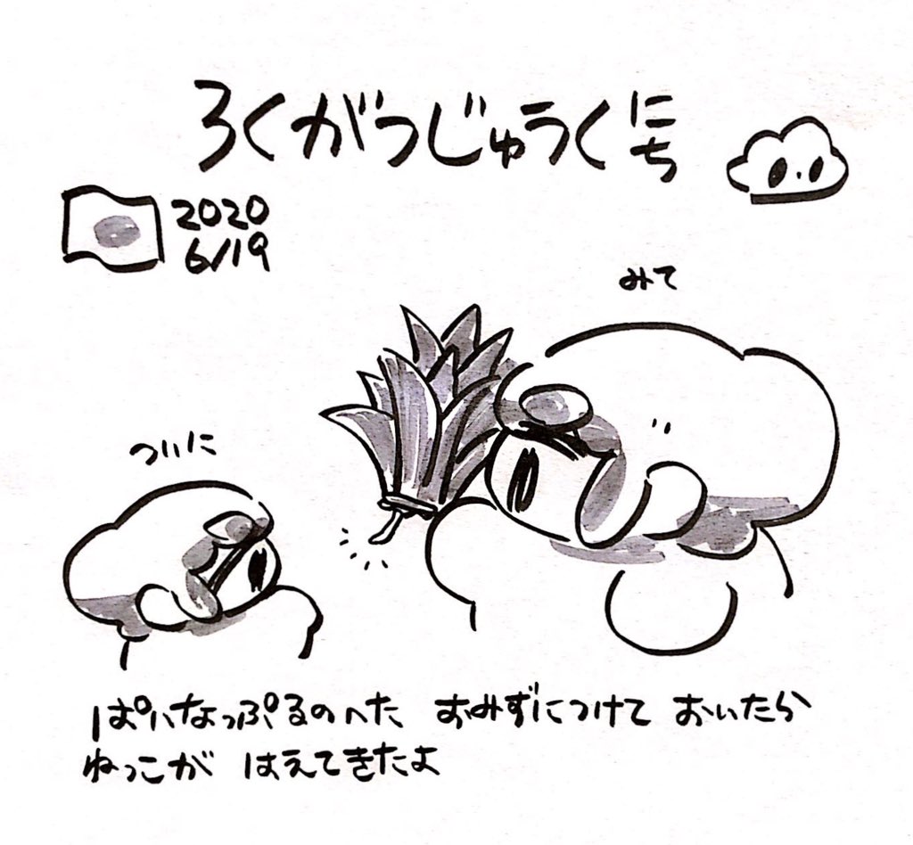 ファンファン #おもちにっき 