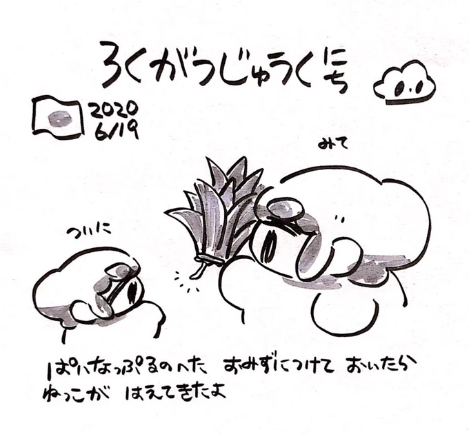 ファンファン #おもちにっき 