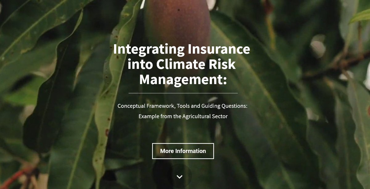 Interesting digital publication on integrating #insurance into #ClimateRiskManagement. 
Read about according conceptual frameworks, tools and guiding questions on the example of the agricultural sector 👉ow.ly/mfTz50Acc4c
@_MCII_ @giz_gmbh