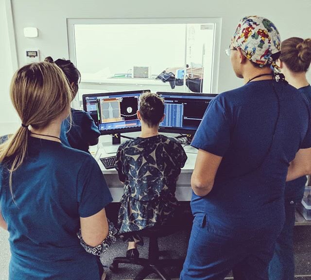 AnimaliusVet's tweet photo. What a sharp looking #interdisciplinary #veterinary team! Here radiologist Dr Zoe Lenard performs a CT scan for a patient of dental &amp; oral surgery specialist Dr Kevin Ng prior to the commencement of surgery with a team of highly qualified vet nurses assisting. @ZMLenard #teamwork https://t.co/qzIdUYcl9I