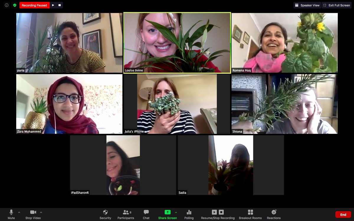wellbeingrebels's tweet photo. What a great way to spend a Fri aft - with a lovely bunch of women from a @scotforestry group, speaking about growing plants &amp; the wellbeing benefits of nature🌿🪴🌻 Now I'm off to try and make some elderflower cordial-wish me luck!? #nature #Wellbeing  #inspired #connection https://t.co/yHgOmJhXdX