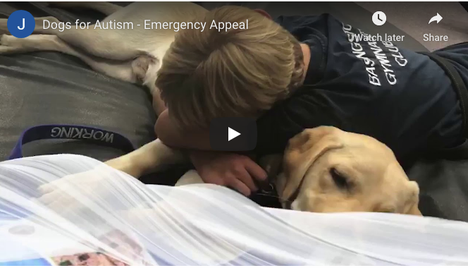 Diversity Designs® & SmileClouds™️ by Busy Life tweet media