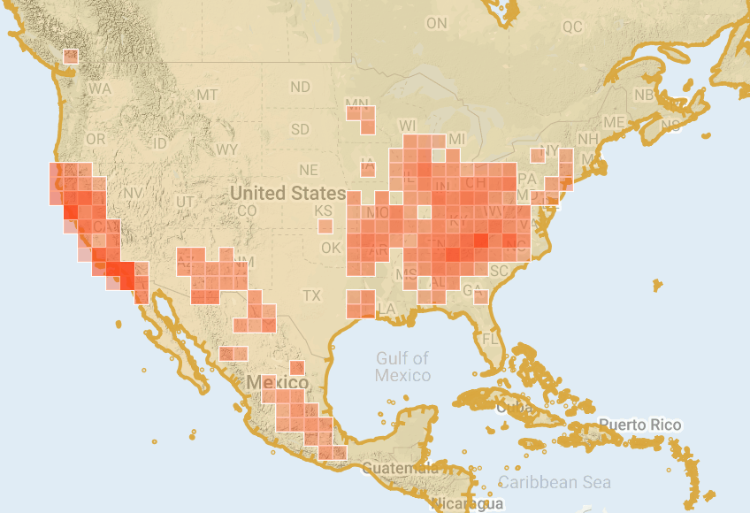 Andrea Berardi tweet media