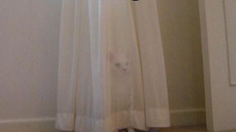 ✎ . . . ขอปิดบอทแอคหอพลับพลาจีมินไว้เท่านี้นะครับ ไม่มีแอคให้ตามและไม่ได้เล่นบอทแล้วน้า ॱ ‧̯˙ ใครที่มีไลน์หรือไอจีกันอยู่แล้วมาเล่นด้วยกันได้ตลอดเลยน้า ใครจะอันฟอลรบกวนบล็อคให้หลุดฟอลได้เลยนะครับ