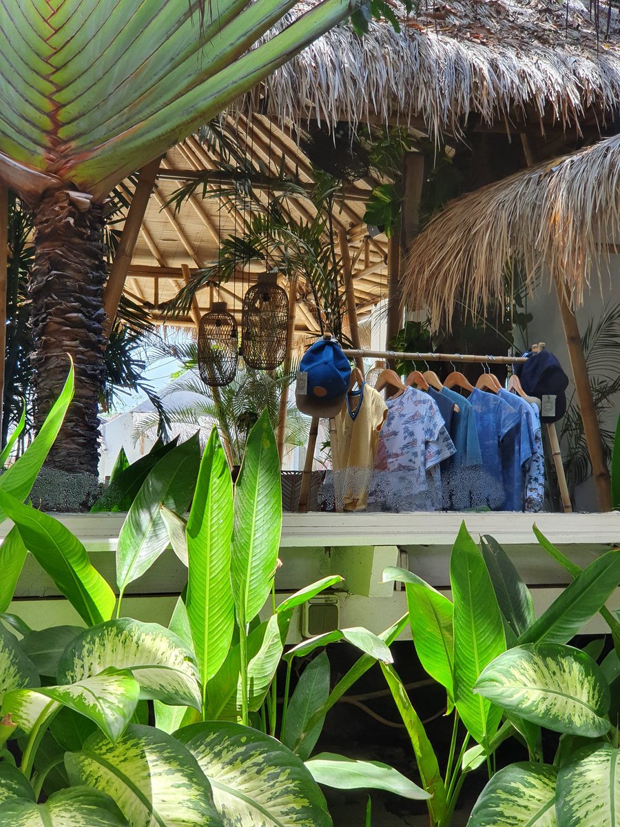 Dreamsea Surf Camp, Canggu