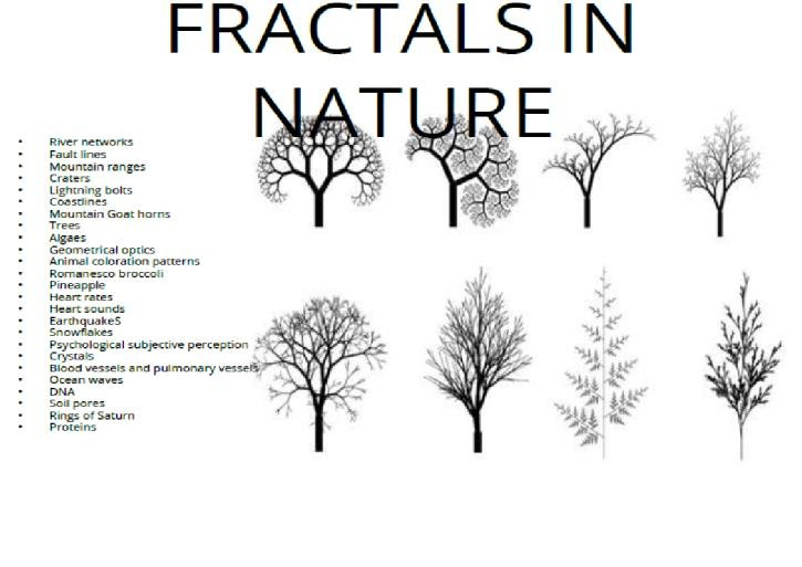  #fractalNature