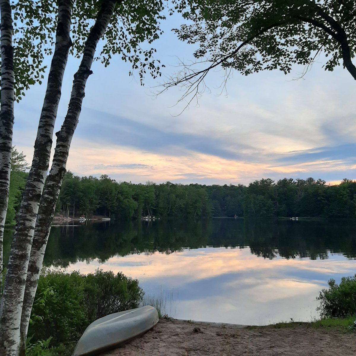 EAVGuchte's tweet photo. Sometimes you need to take a step back....and when you do, it feels so good! Blessings to your weekend!
#nature #gratefulheart 
#ontheotherside💟 #PeaceInItAll https://t.co/JCf6ugEGrw