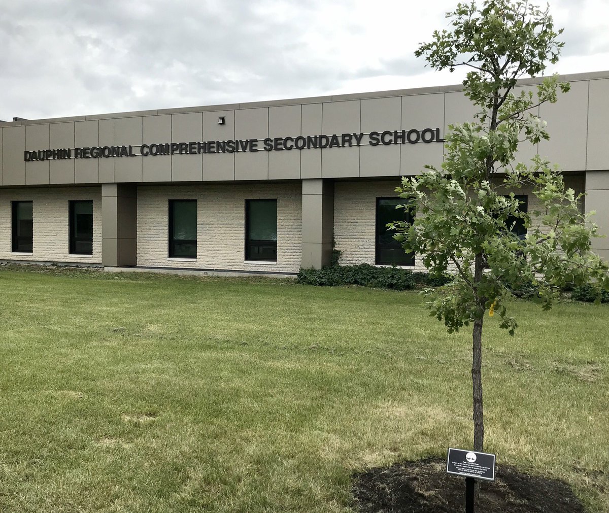 drcssclippers's tweet photo. Thank you to @DauphinCoop for sponsoring a Oak tree to represent and remember the DRCSS Class of 2020!! Congratulations!! #DR2020 https://t.co/4VAd10dnz1