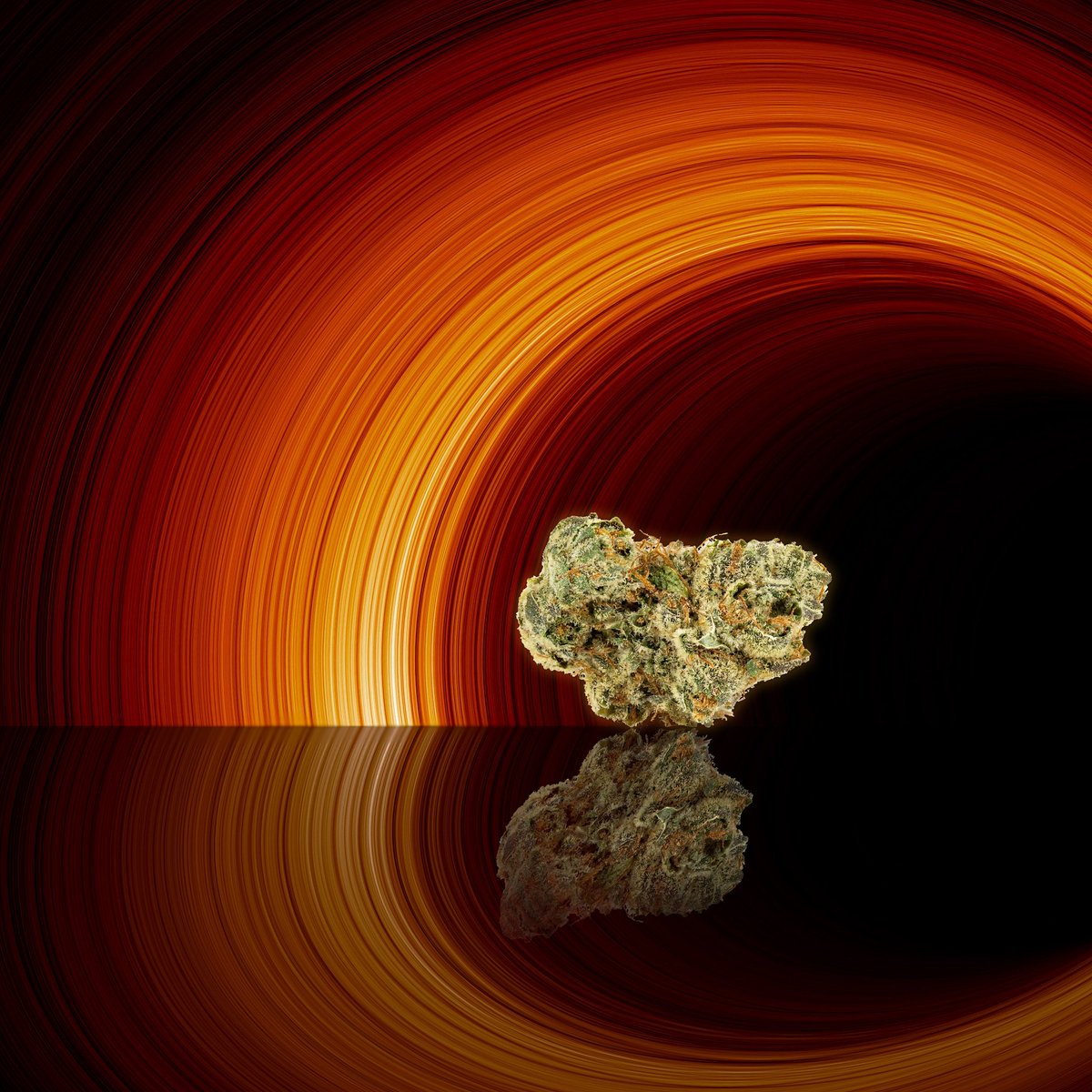 Strain highlight: Alien OG by @gocaliva 

#alienog #gocaliva #cannabisstrain #indicastrain #marijuanaflower