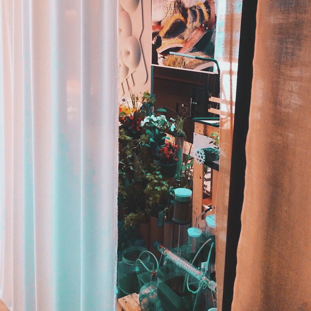 Thora_Arnard's tweet image. A sneak peek from 4 years ago, about to present a self-sufficient project in the weirdest way possible, in character and costume. We ended up being called eco-fascists... 
#selfsufficientbuildings #moleculararchitecture #algae #farming