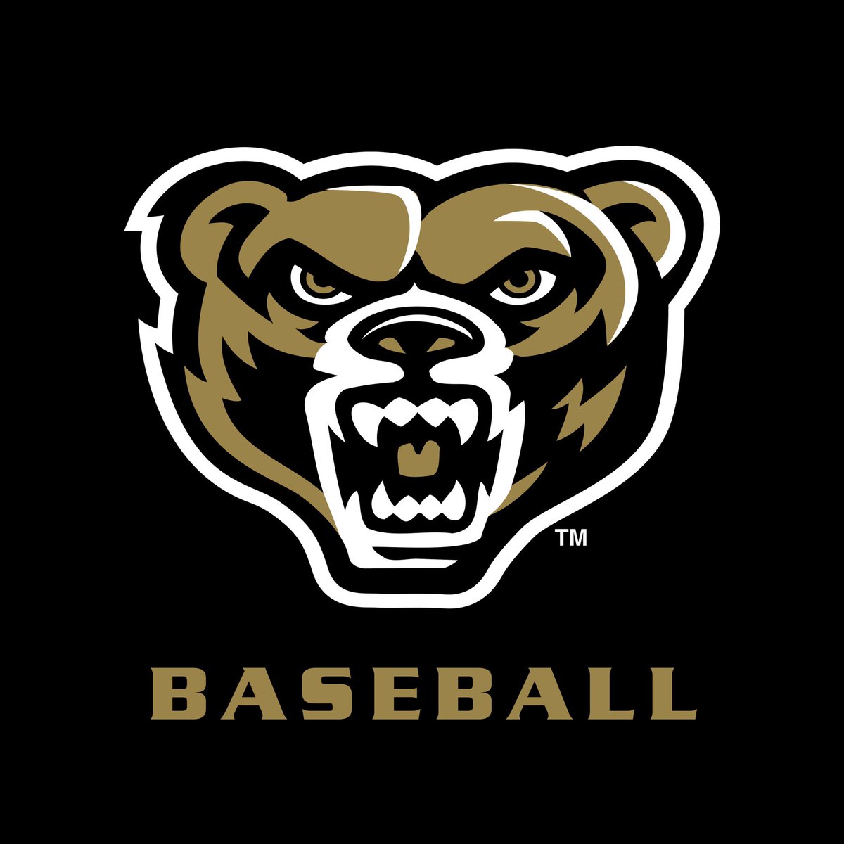 Excited to announce my commitment to Oakland University #GoGrizzlies