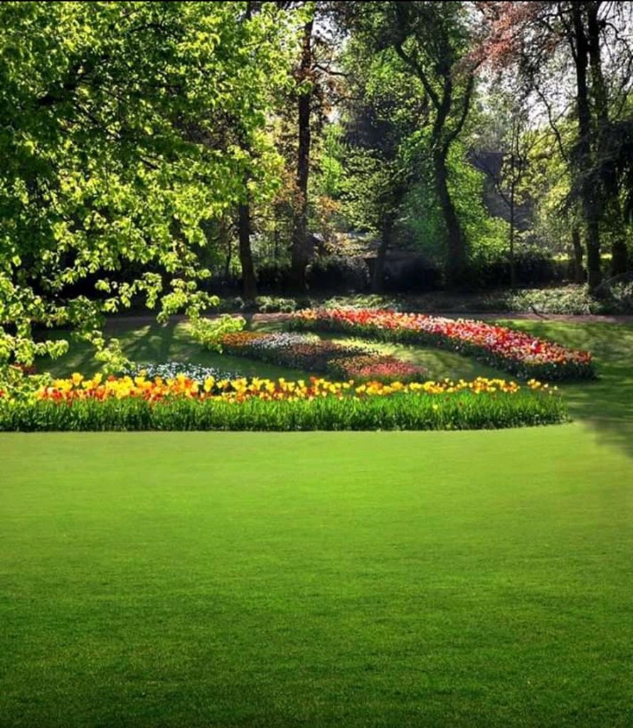 14) “RESTAURANT LE BINIOU”  BASTOS