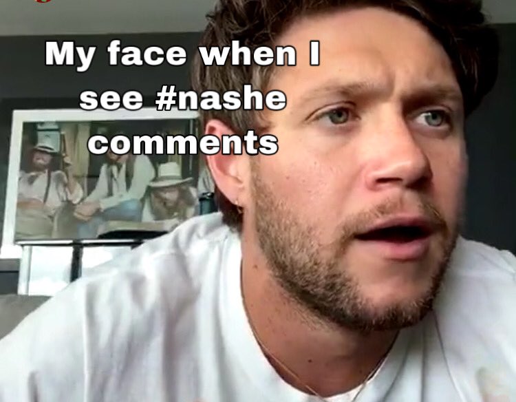 WhoCarrots's tweet photo. Hey i don’t make the rules
#niallhoran #niall #horan #ashe #ashemusic #meme #onedirectionmeme #OneDirection2020 https://t.co/hPaTaDeSW4