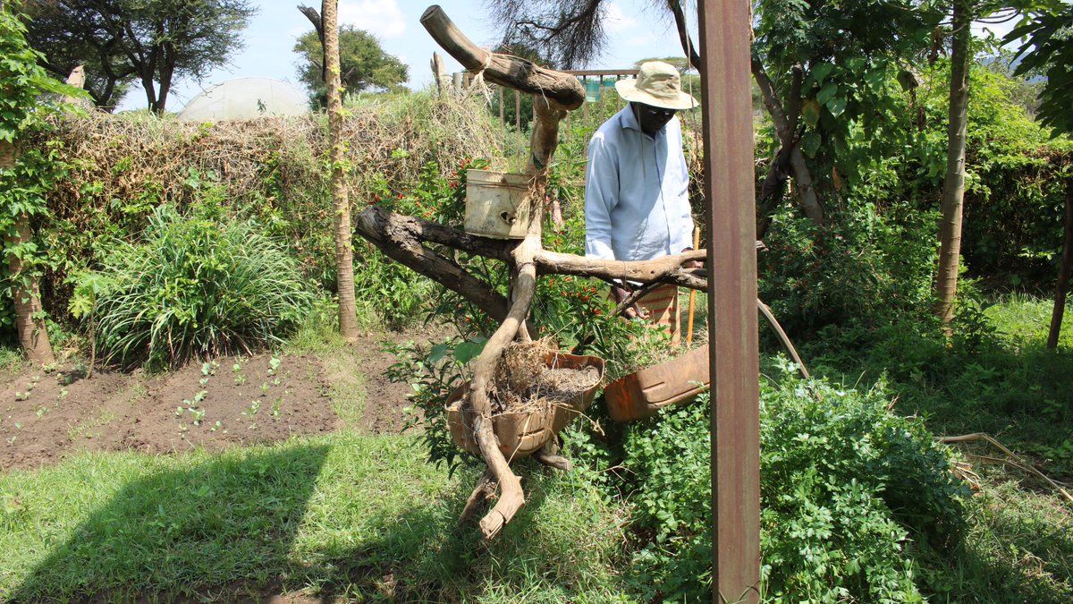 Food security exists when all people, at all times, have physical, social and economic access to sufficient, safe and nutritious food which meets their dietary needs and food preferences for an active and healthy life by diversification of farming and its practices in the county.