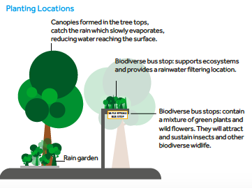 The route also sees an increase in green infrastructure and sustainable drainage. More trees and green spaces are vital for many environmental reasons. But also for the wellbeing of local communities who have limited green space. these are now being implementing this more widely