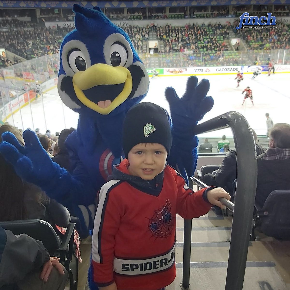 LondonKnights's tweet photo. Finch Fan Photos #SeeFinchFirst https://t.co/6RNtbYyqeS