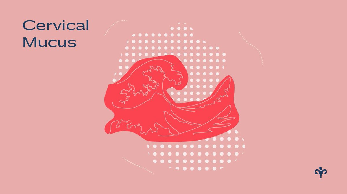 This week is #CervicalScreeningAwarenessWeek and we’re shining a spotlight on ‘Abnormal Cervical Mucus’. 

#ReProductive #femtech #cervicalscreening #cervicalmucus #periodhealth #fertility #fertilityawareness #fertilitytracking #cycletracking #femalehealth #sexualhealth