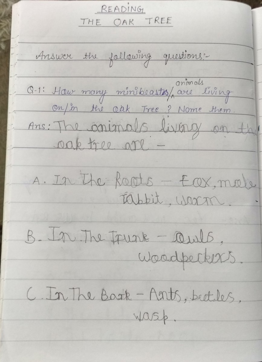 SSGupta23601708's tweet photo. @UpdatesMcDermot Reading- Aarna read the book ' The Oak Tree' and answered the questions 🌳 https://t.co/tVeFwKKrnR
