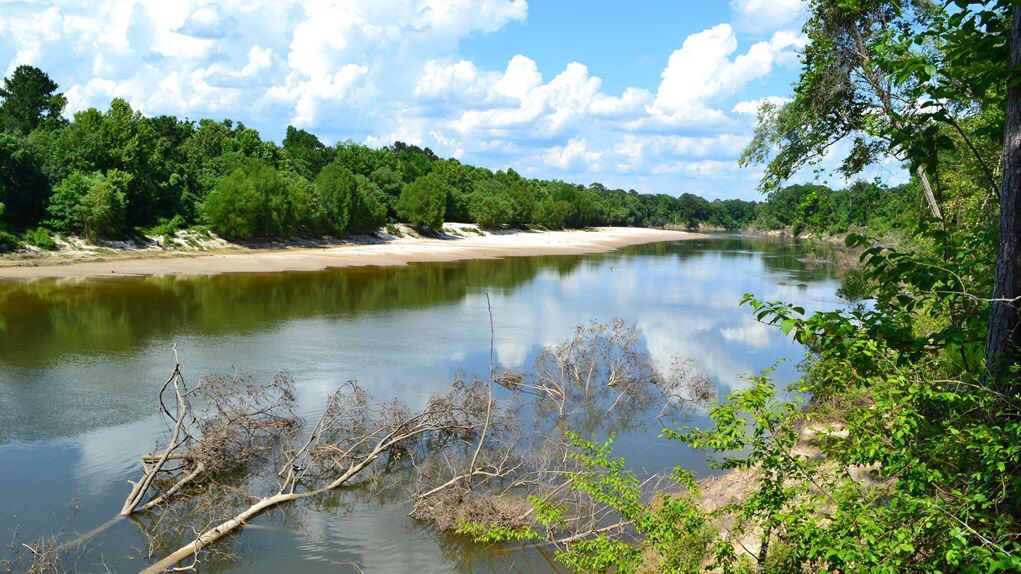 #75: Jubilee Day (Part 2)Many whites did not permit celebrations when word got out. Some slaves were not freed til after the fall harvest or even years later, some were hung. Crockett slave patrol whipped 100 men & many were shot down in the Sabine River for celebrating.