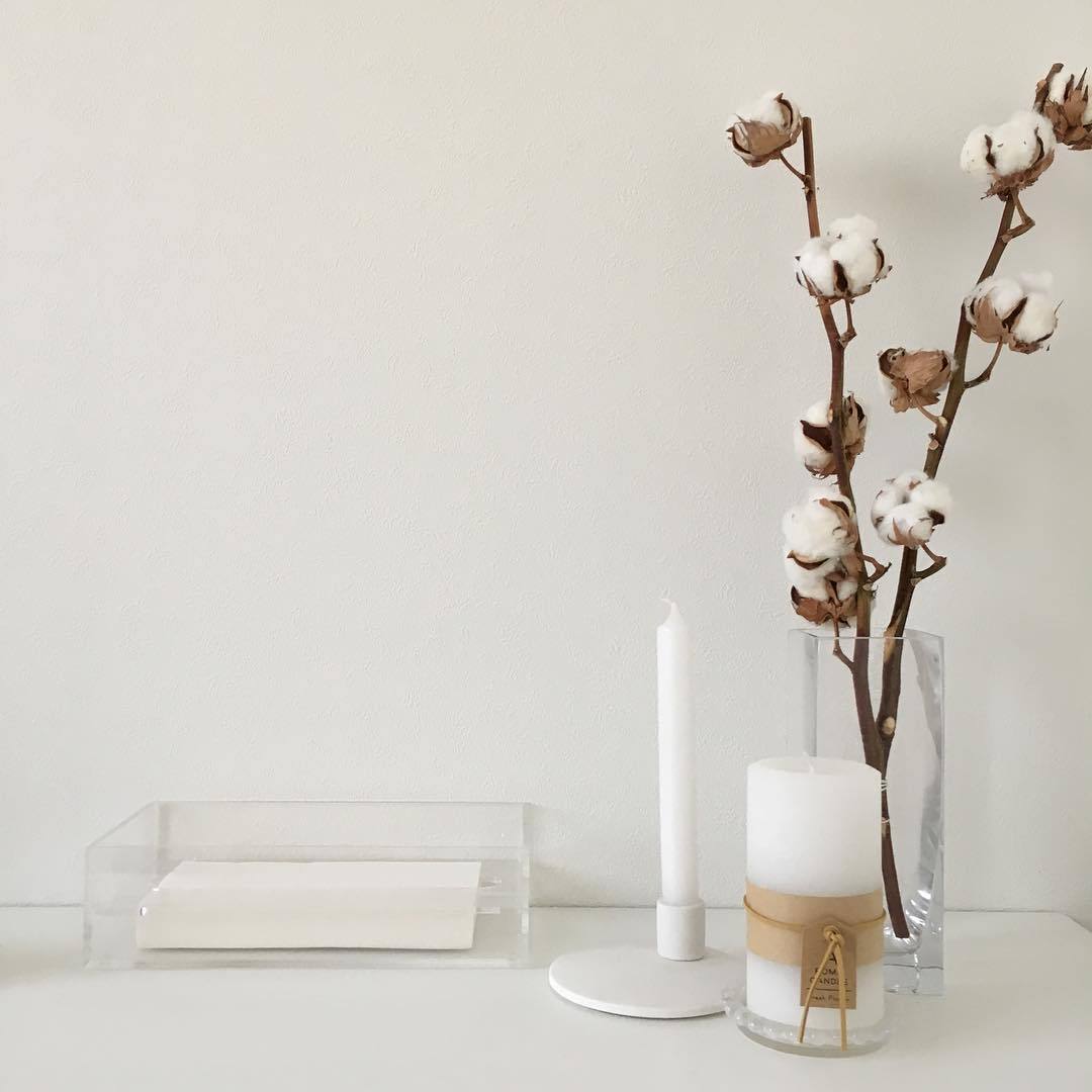 ট ইট র Mery お部屋を一気にお洒落な雰囲気にしてくれる植物たち 1 コットンフラワー 2 ユーカリ 3 ラグラス 4 パンパスグラス ドライフラワー以外にもお気に入りが見つかりそう お部屋作り 植物 インテリア T Co Dn7gwbx7ol T Co