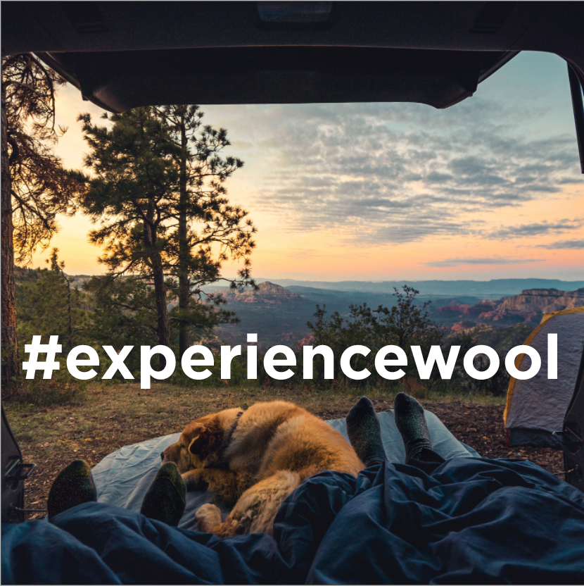 ExperienceWool's tweet photo. #experiencewool

How are you experiencing wool this summer? Use the hashtag #experiencewool in your next post that shows us how you’re using wool for the chance to be featured on our page!

#experiencewool #americanwool #community #hashtag #choosewool #summerwool #coolwool https://t.co/UF70E7sWHD