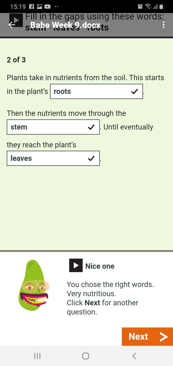 seramilas851's tweet image. @PagetPrimary #teampaget #Thelearningproject I just recreated my very own sunflower . And I have been doing a quiz about how plants grow too.