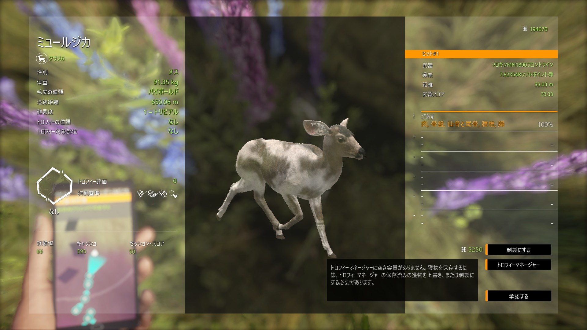 ぴあす 初めて見た毛皮のミュールジカ ダイルート パイボールド Thehunter