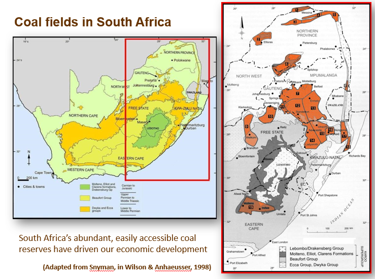 (2/n): Glossopterids formed the oldest coal fields in South Africa. Coal is mainly the remains of a Glossopteris flora, named after an ancient gymnosperm tree species. South Africa’s coal resources are contained in the Ecca deposits, a stratum of the Karoo Supergroup.