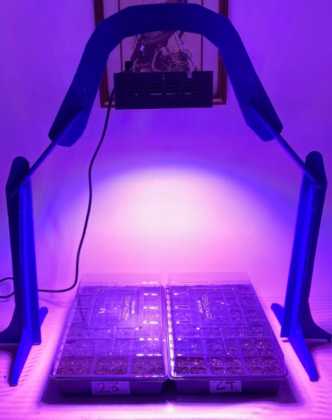 TheunPakProject's tweet photo. We have a great group of student researchers working with us this summer for the unPAK USDA REEU. On Monday each of them set up their home experiment! These are pictures of just a few of them. https://t.co/1Ez8rgp63Q