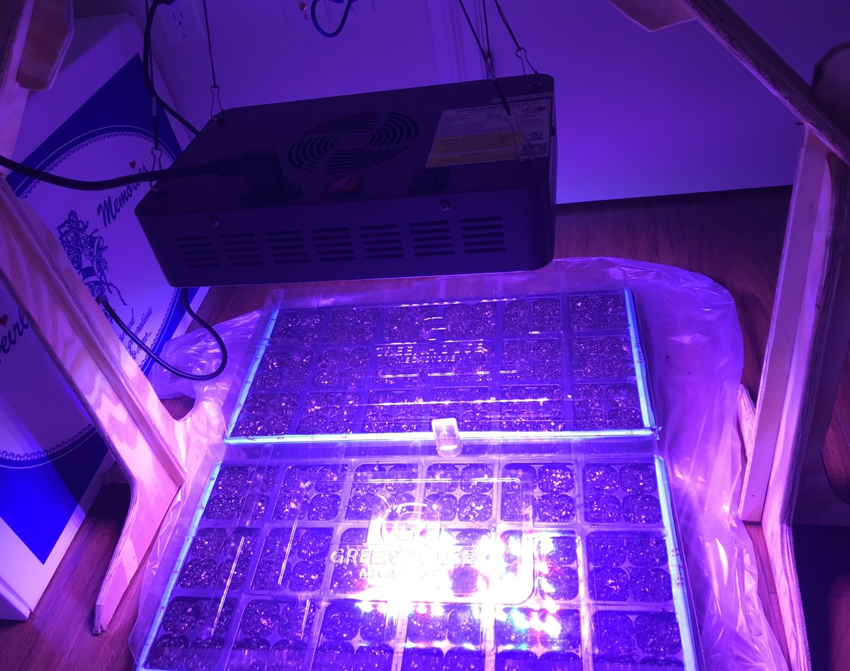 TheunPakProject's tweet photo. We have a great group of student researchers working with us this summer for the unPAK USDA REEU. On Monday each of them set up their home experiment! These are pictures of just a few of them. https://t.co/1Ez8rgp63Q