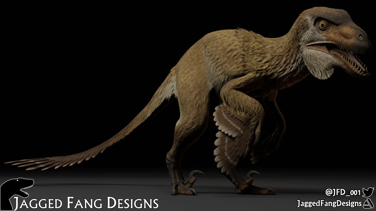 JFD_001's tweet image. Our latest reconstruction is a commission for the #Roblox game Era of Terror and requires no introduction. The largest Dromaeosaur, #Utahraptor ostrommaysi!
artstation.com/artwork/48baG2
#paleoart #Blender3d #FossilFriday
