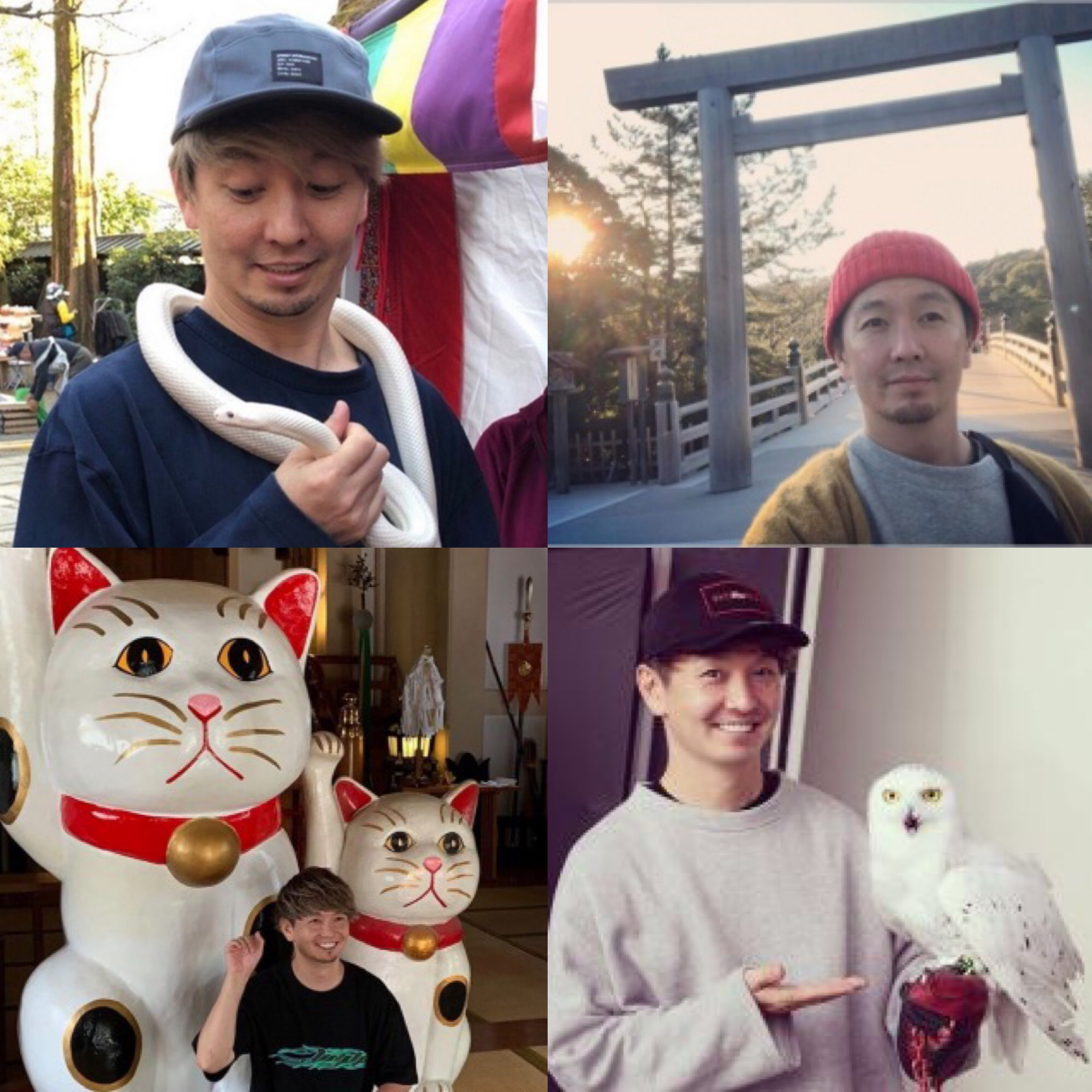ドエチロ 年は特別な年だと思う 誰にとっても少なからず影響があった年 正直 存じ上げなかったけど湘南乃風 のショックアイさんを待ち受けにすると運気が上がるらしい 良さげな画像をまとめてみたので Pc背景ににでも使ってください 白蛇 招き猫