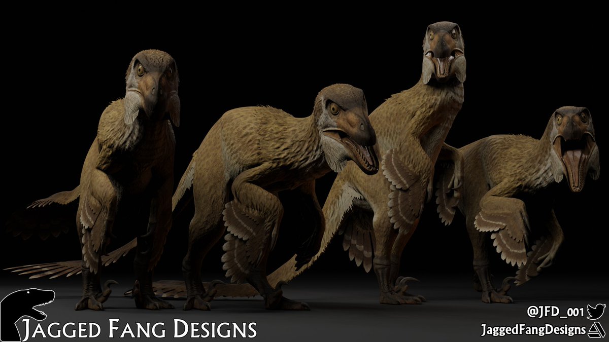JFD_001's tweet image. Our latest reconstruction is a commission for the #Roblox game Era of Terror and requires no introduction. The largest Dromaeosaur, #Utahraptor ostrommaysi!
artstation.com/artwork/48baG2
#paleoart #Blender3d #FossilFriday