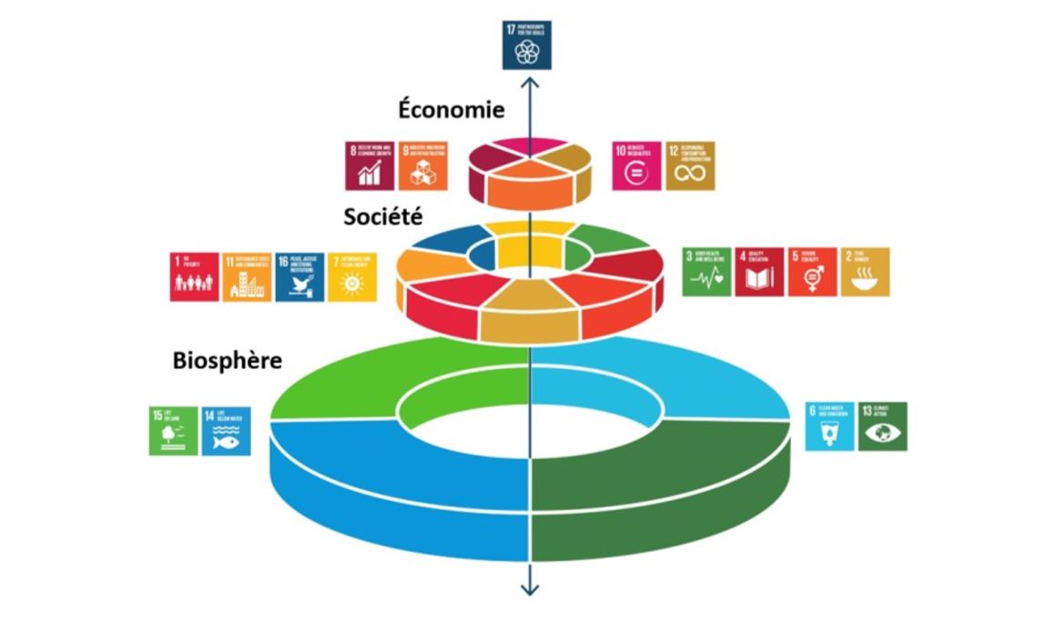 ofevCH's tweet photo. Le Conseil fédéral veut des mesures de #preservationDesRessources https://t.co/If5AWMDeXf #economieCirculaire #empreintesEnvironnementales #consommationDurable #productionDurable #ODD12 #preventionDesDechets #economieVerte https://t.co/4C4GYDNpmi