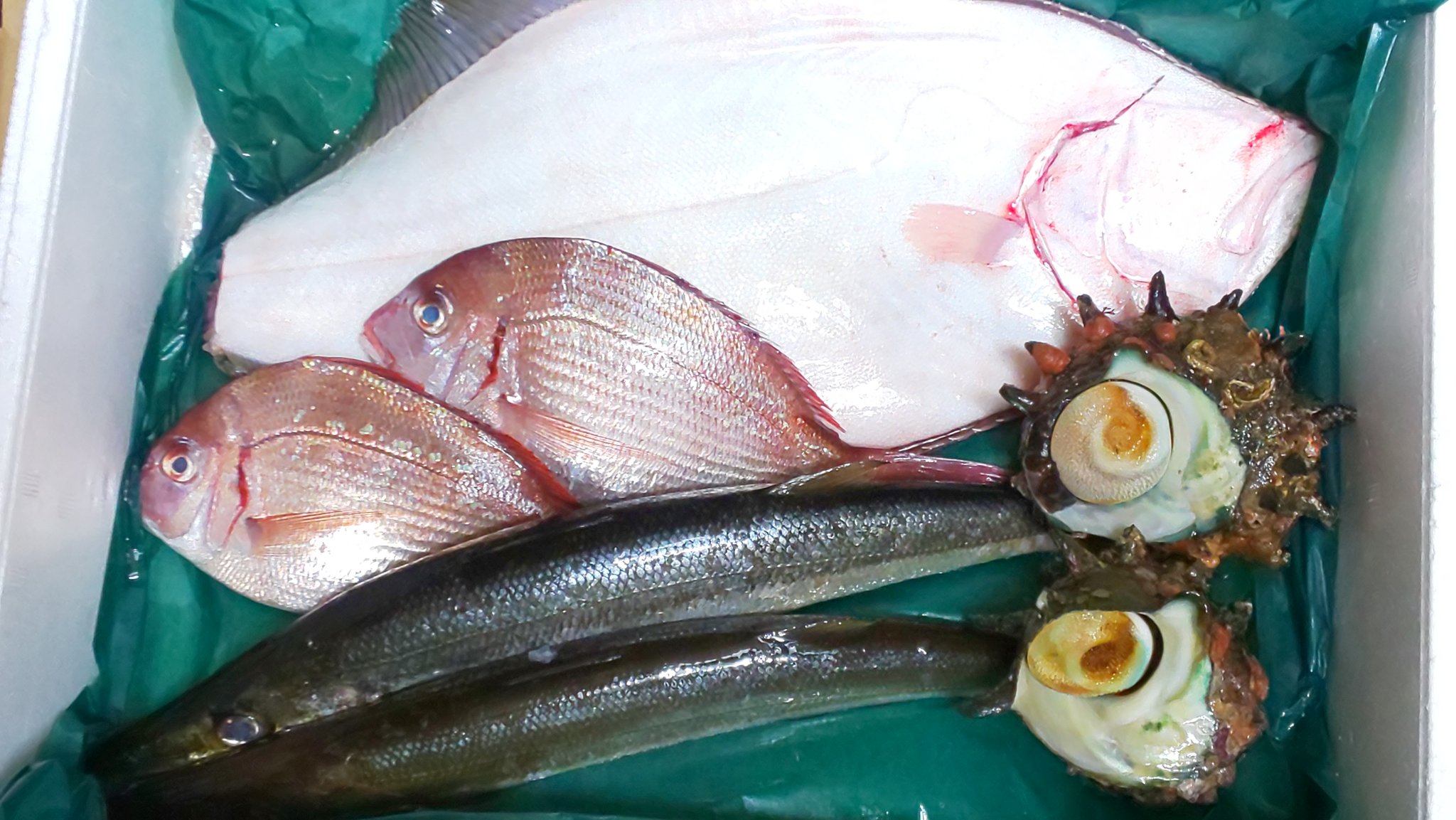 レラ 신데렐라 イオンのネットスーパーでやってる 三浦半島鮮魚詰め合わせボックスってのを頼んだんですよ 母が魚好きで 私は魚アレルギー持ち さばくのは私 母はもう歳で見えないからさばけないと これで 2500です 超お得じゃない レラ 신데렐라 イオンのネットスーパーでやってる 三浦半島鮮魚詰め合わせボックスってのを頼んだんですよ 母が魚好きで 私は魚アレルギー持ち さばくのは私 母はもう歳で見えないからさばけないと これで 2500です 超お得じゃない