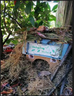 hohacademy's tweet image. Siblings Lucy and Jenny B have #workedtogether to create this excellent #hedgehog hotel!