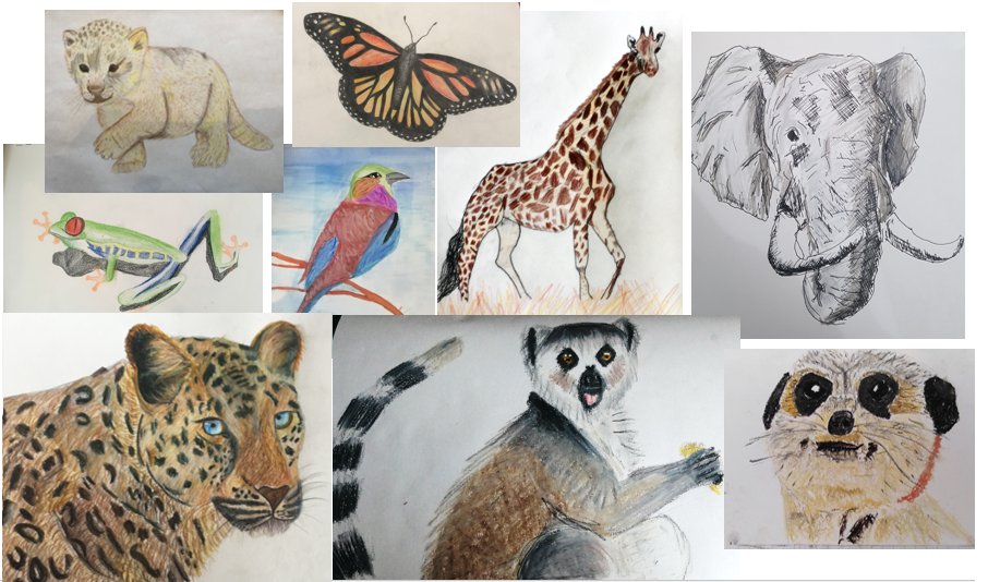 For anyone having a bit of a grey day - here's some more colour African animals from our Year 8's to brighten it up! Some of these really made me smile, and I've loved seeing the variety of different animals you have all chosen - truly all creatures great and small! 😀
