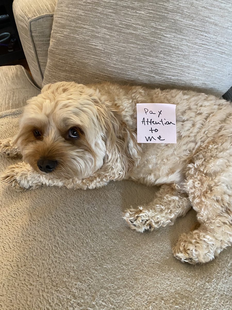 My wife and I have this running joke where we leave each other notes around the house for the other person to find. This morning I took it a step further