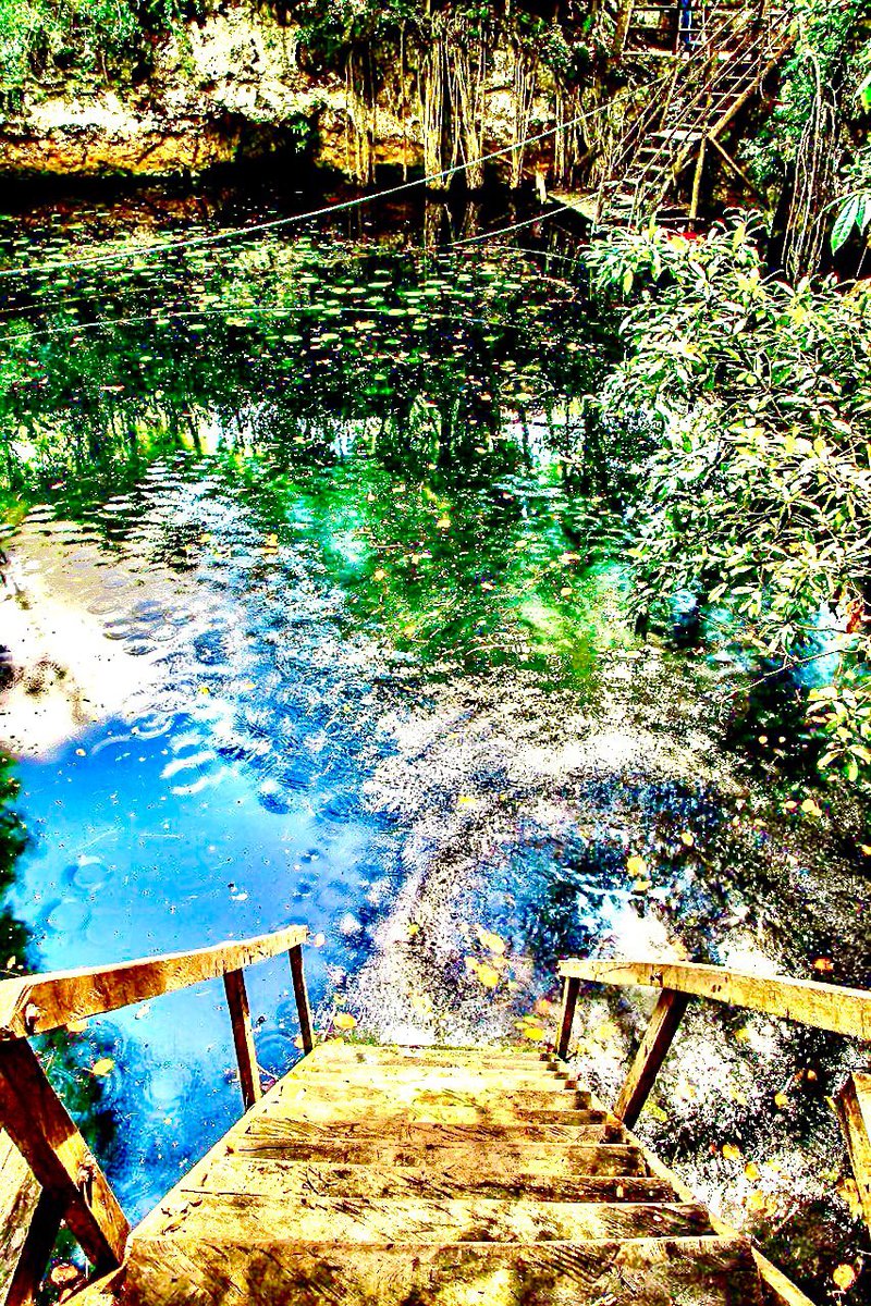 El semáforo epidemiológico seguirá en color naranja la siguiente semana. Recuerden que es responsabilidad de tod@s seguir las estrictas medidas de prevención. Solo así volveremos a salir a disfrutar sin poner en riesgo nuestra salud. #RutaDeLosCenotes #PuertoMorelos